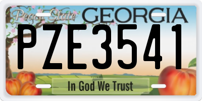 GA license plate PZE3541