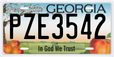 GA license plate PZE3542