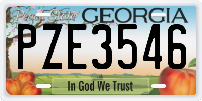 GA license plate PZE3546