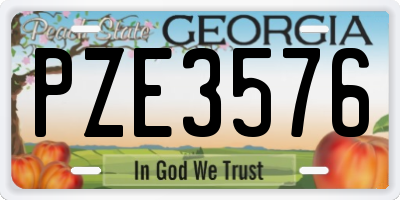 GA license plate PZE3576