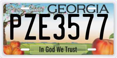 GA license plate PZE3577