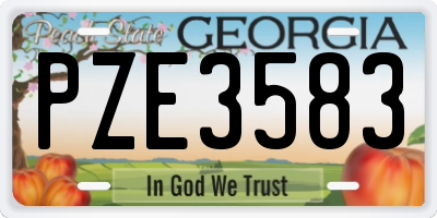GA license plate PZE3583