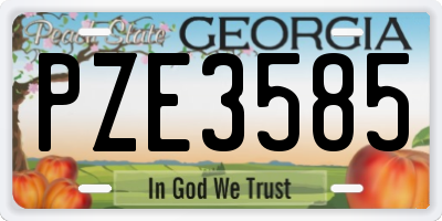 GA license plate PZE3585