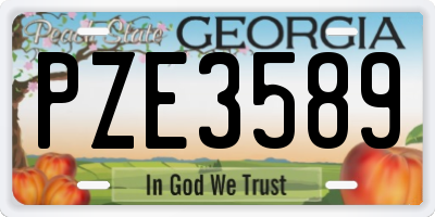 GA license plate PZE3589