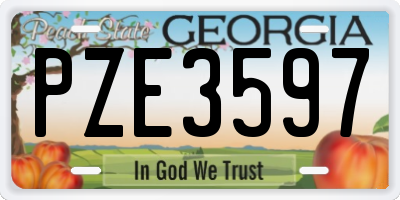 GA license plate PZE3597