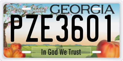 GA license plate PZE3601