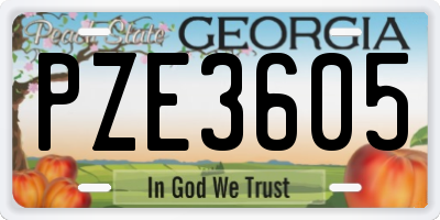 GA license plate PZE3605