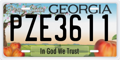 GA license plate PZE3611