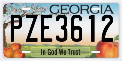 GA license plate PZE3612