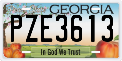 GA license plate PZE3613