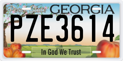 GA license plate PZE3614