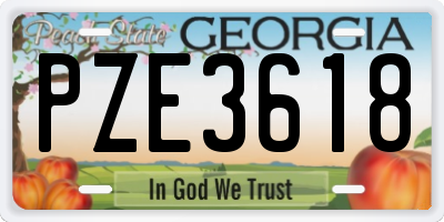 GA license plate PZE3618