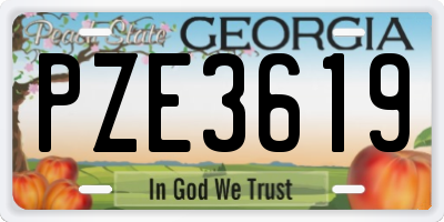 GA license plate PZE3619