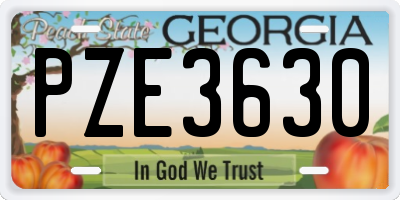 GA license plate PZE3630