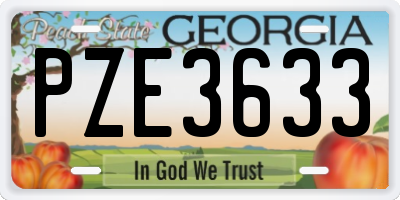 GA license plate PZE3633