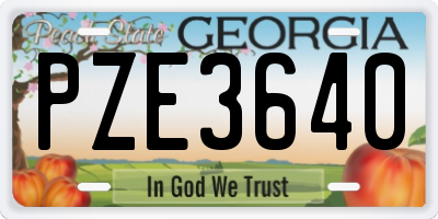 GA license plate PZE3640