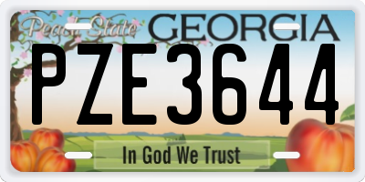 GA license plate PZE3644