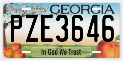 GA license plate PZE3646