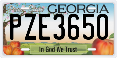 GA license plate PZE3650