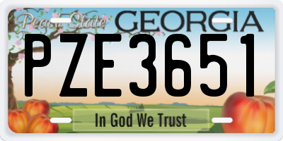 GA license plate PZE3651