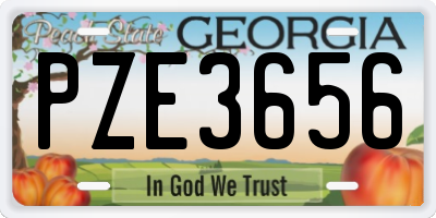GA license plate PZE3656