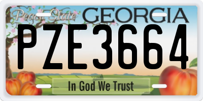 GA license plate PZE3664