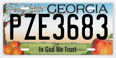 GA license plate PZE3683