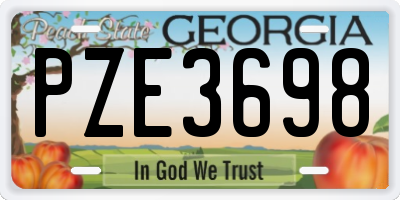 GA license plate PZE3698