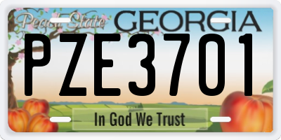 GA license plate PZE3701