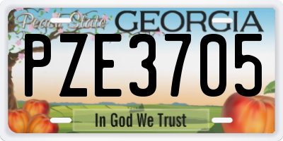 GA license plate PZE3705