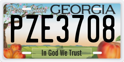 GA license plate PZE3708