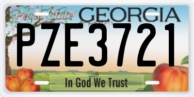 GA license plate PZE3721