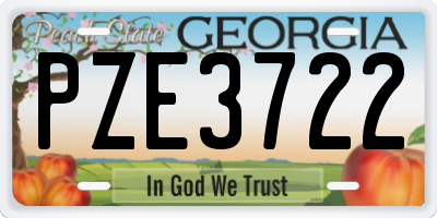 GA license plate PZE3722