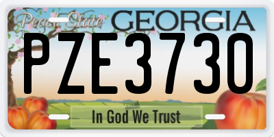 GA license plate PZE3730