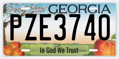 GA license plate PZE3740