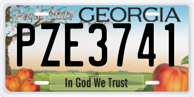 GA license plate PZE3741