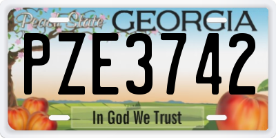 GA license plate PZE3742