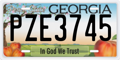 GA license plate PZE3745