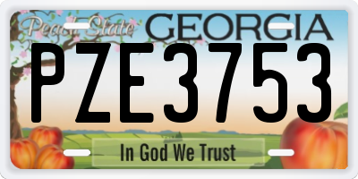 GA license plate PZE3753
