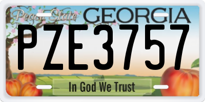 GA license plate PZE3757