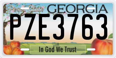 GA license plate PZE3763
