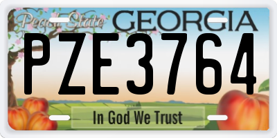 GA license plate PZE3764