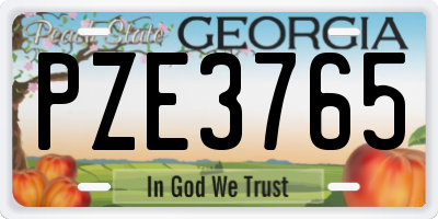 GA license plate PZE3765