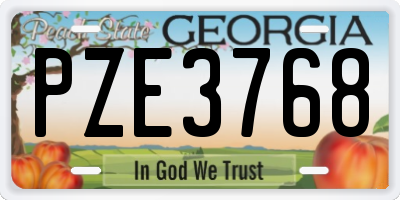GA license plate PZE3768