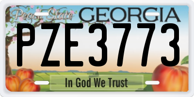 GA license plate PZE3773
