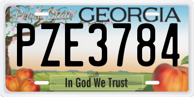 GA license plate PZE3784
