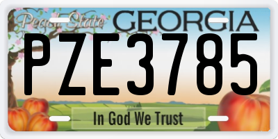 GA license plate PZE3785