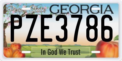 GA license plate PZE3786