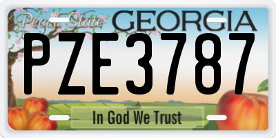 GA license plate PZE3787