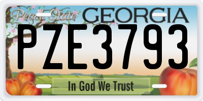GA license plate PZE3793